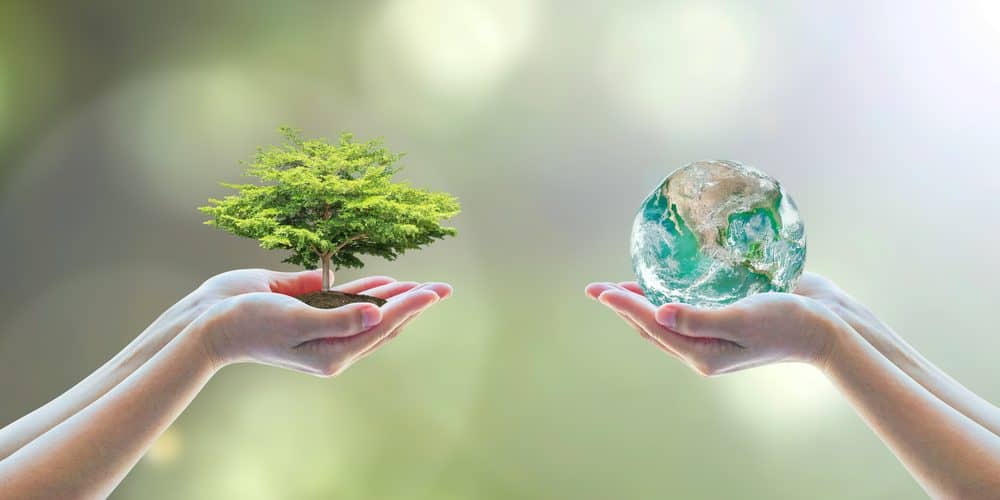 Środowisko, ekologia, klimat. Fot. Shutterstock